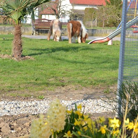 Hotel - Restaurant Hirschen - Werneths Landgasthof Beim Europa- Park Rust Rheinhausen Zewnętrze zdjęcie